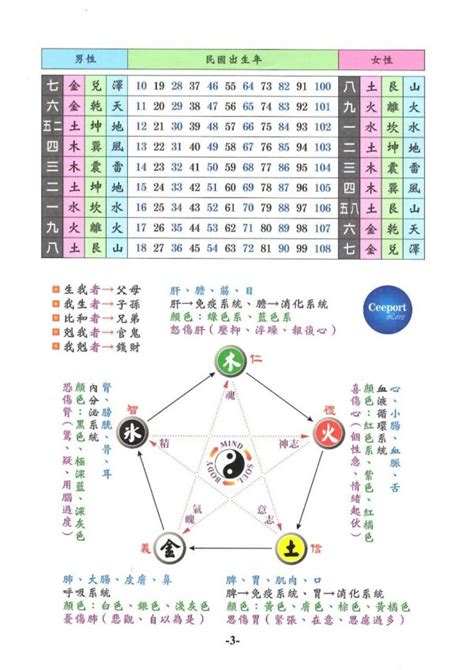 81靈動數怎麼算|閱讀文章 